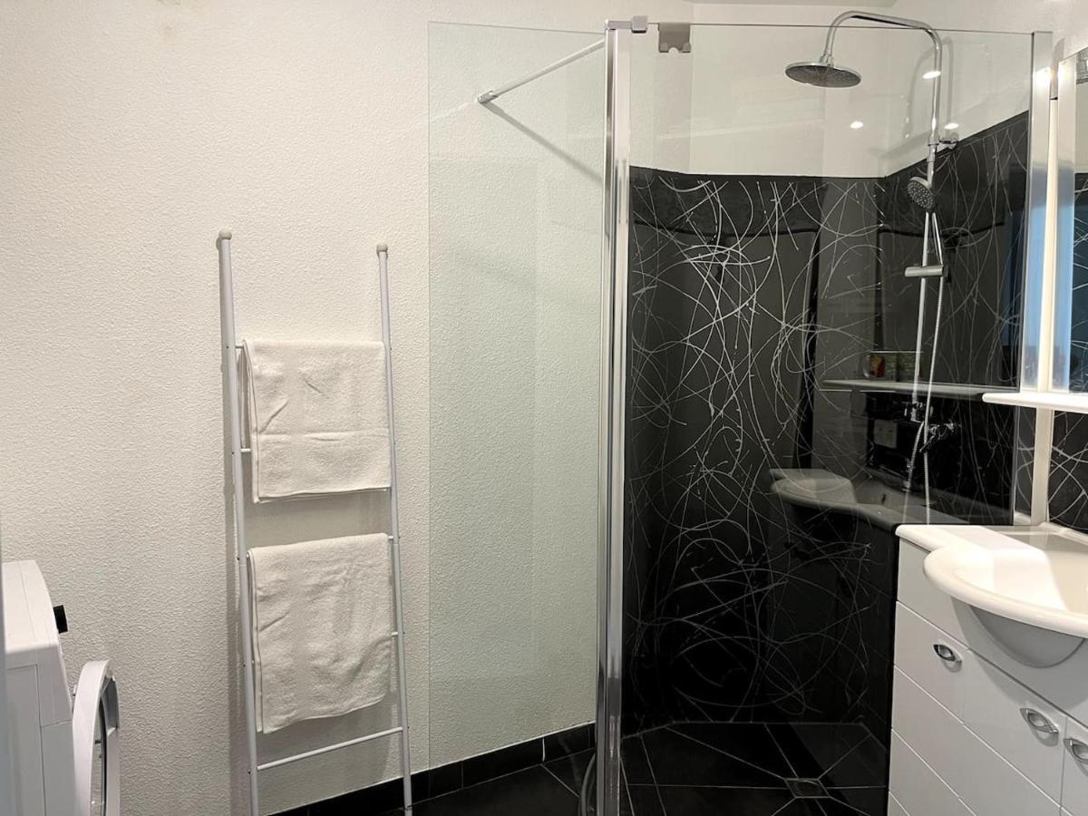 Bel Appartement Climatise Centre Albi Kültér fotó
